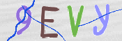 Enter the characters (without spaces) shown in the image.