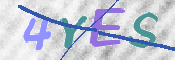 Enter the characters (without spaces) shown in the image.